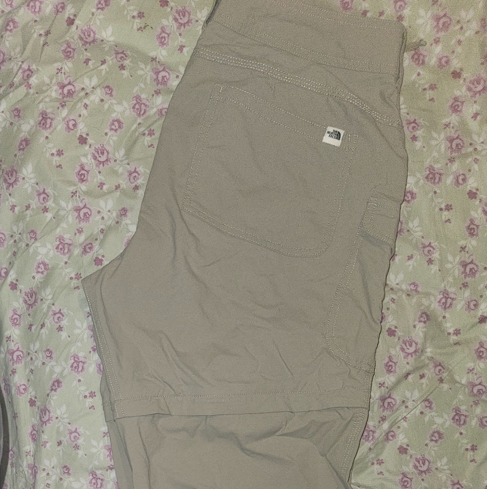 Nortface cargo pants